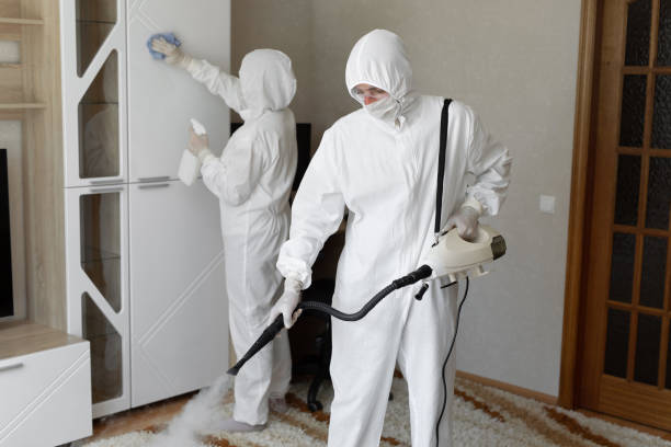 Best HVAC Mold Remediation in Mcgaheysville, VA