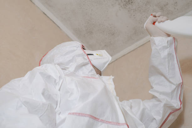 Best Mold Testing and Inspection Services in Mcgaheysville, VA