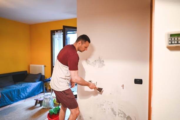 Best Post-Flood Mold Remediation in Mcgaheysville, VA